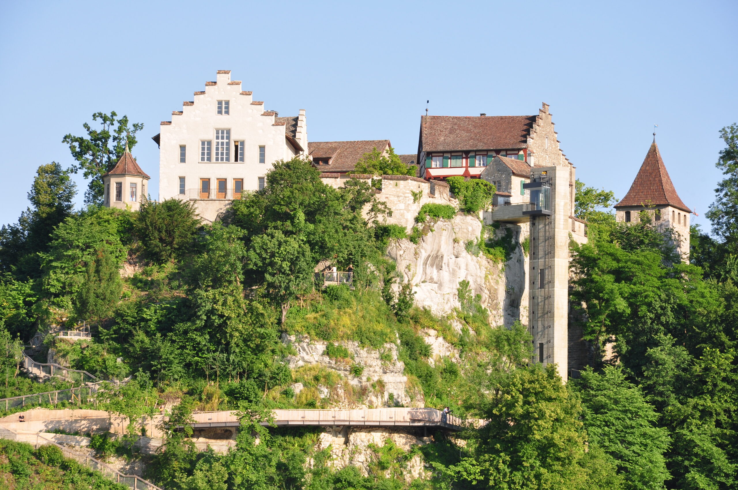 Rhine Falls