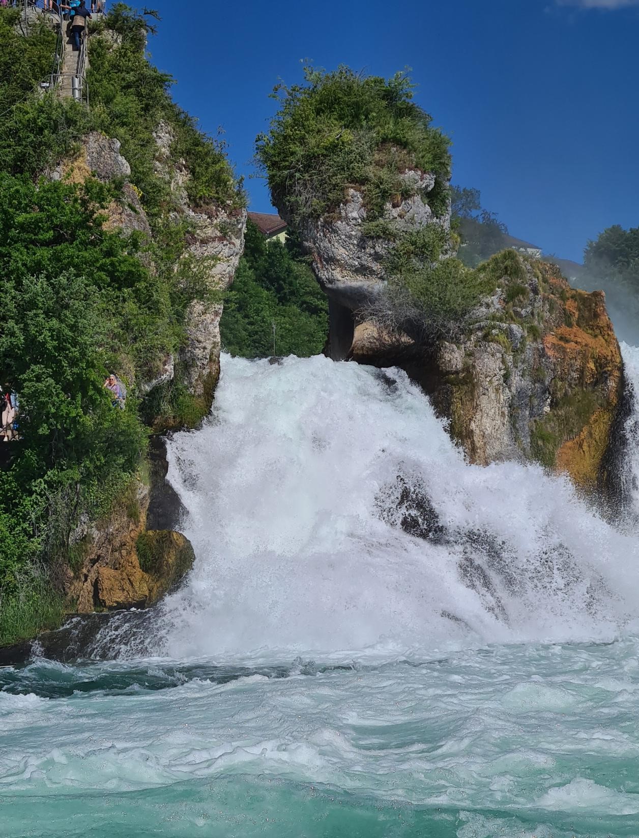 Rhine Falls